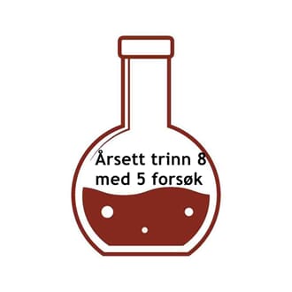 Årstrinn 8