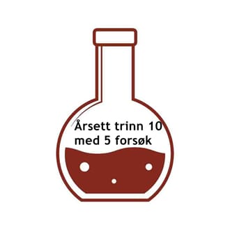 Årstrinn 10